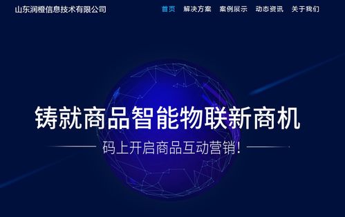 兩種最常見的定制網站,各自有哪些特點