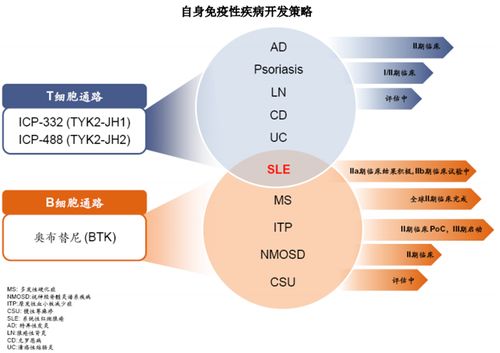 直擊業績說明會 摘 b 之后 現金玩家 諾誠健華想要成為生物制藥公司